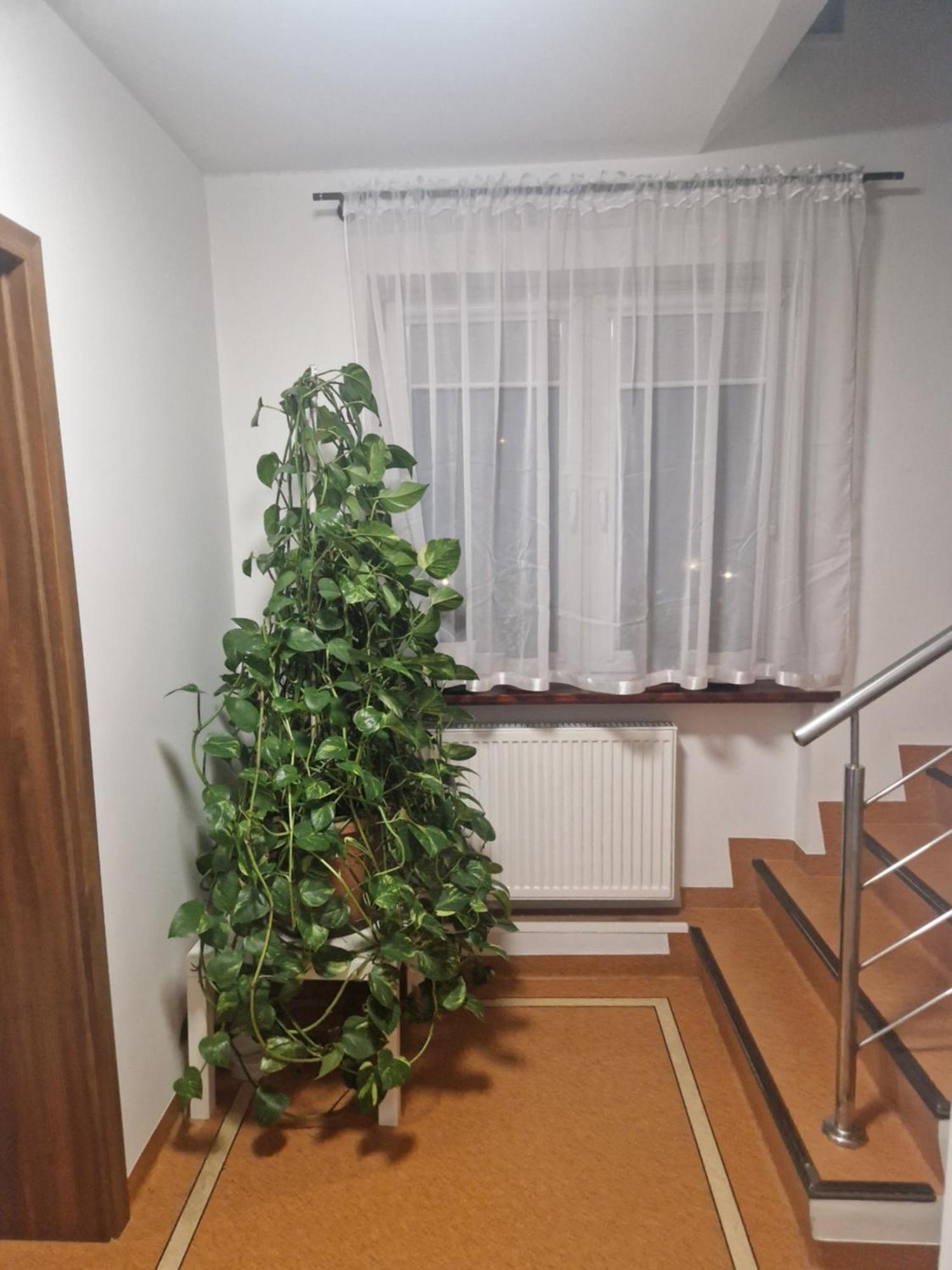 Noclegi Budomas Budget Wroclaw-Szymanow Freeparking Smarttv — Zdjęcia 2